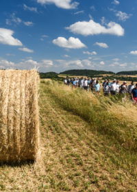 Webjonas du WE des 4-5 juillet